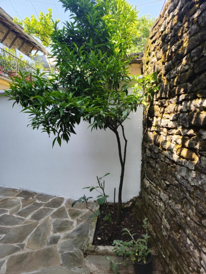 Traditional House Shapllo Gjirokastër Extérieur photo